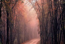 江南体育官网：笑侃｜中国乒乓队土特产是啥？是冠军吗？不，是喜剧人！.