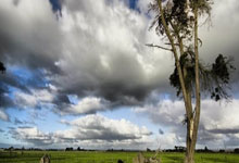 输不起？勒沃库森高层怪比勒菲尔德主场没浇水影响发挥.