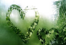 江南体育官网：难忘一幕！中国女排主攻线世俱杯赛场隔网较量同台领奖京报体育.